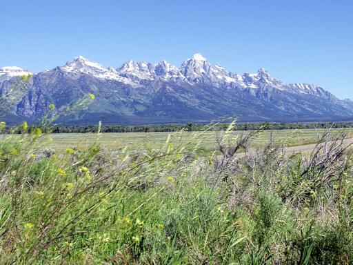 The_Tetons_lM