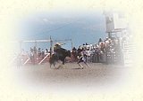 Bull Riding (Rockyford Lions Photo)